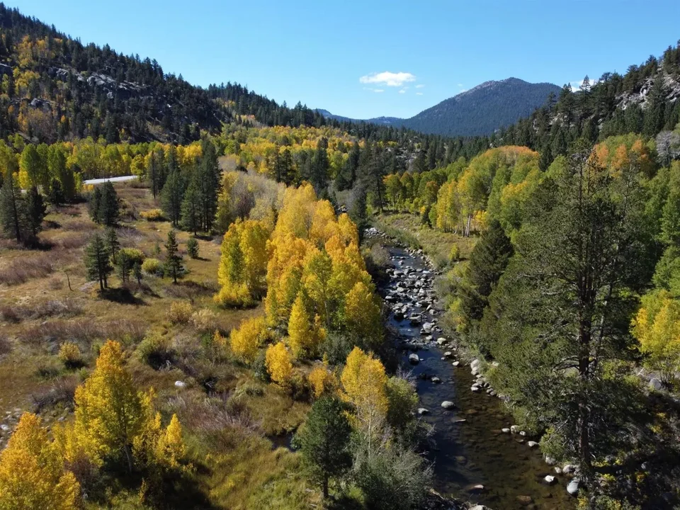 The gorgeous autumn colors in Hope Valley (near South Lake Tahoe and Kirkwood). Book today and experience this magical time of the year.

#laketahoe #laketahoecabin #tahoesouth #highway88 #laketahoevacationrentals #markleeville #hopevalleyca #wylderh