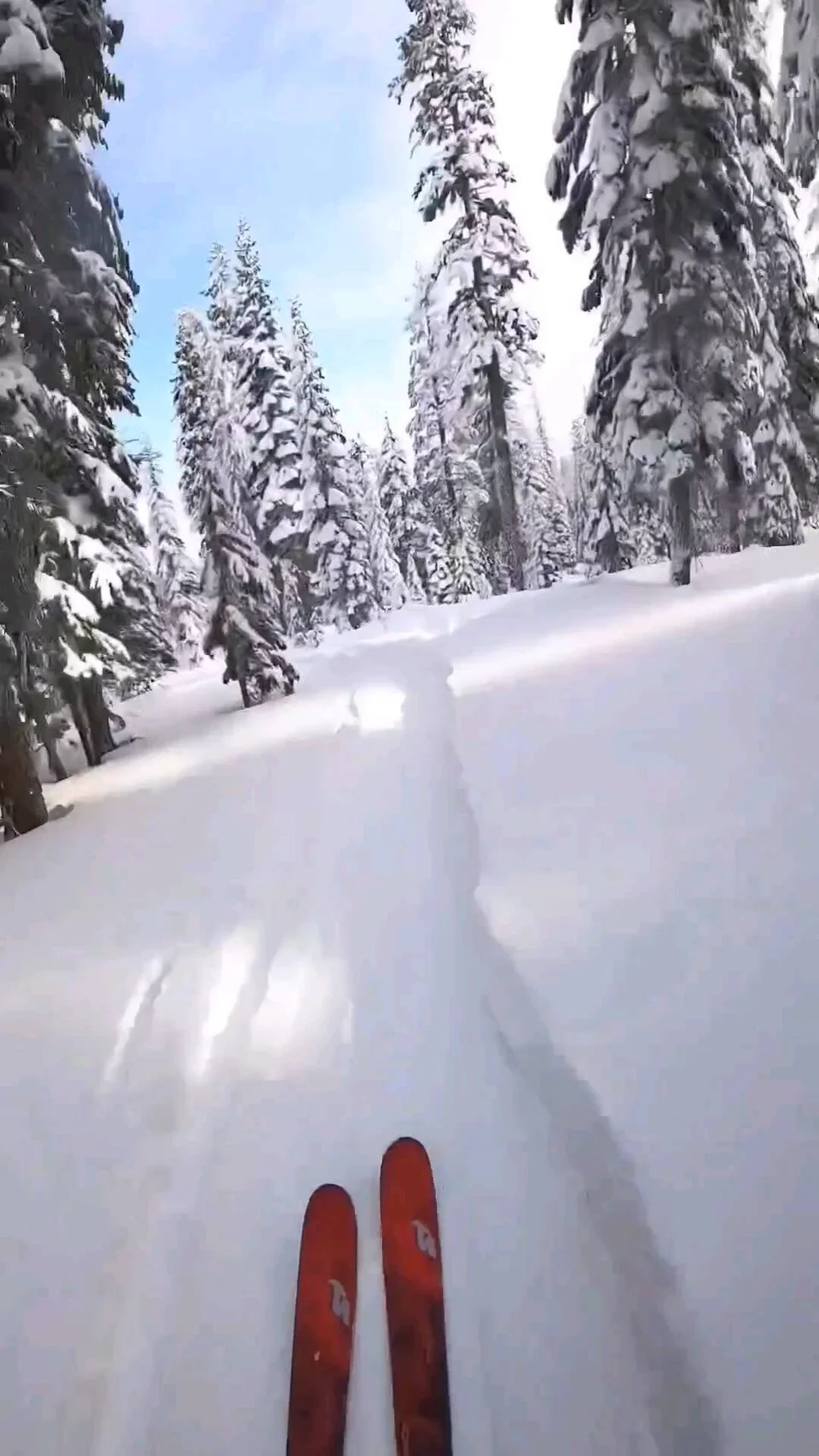 Watch Tahoe River Cabin on Instagram