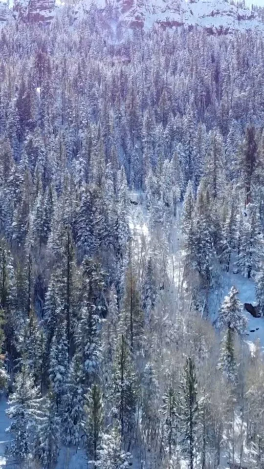 Watch Tahoe River Cabin on Instagram