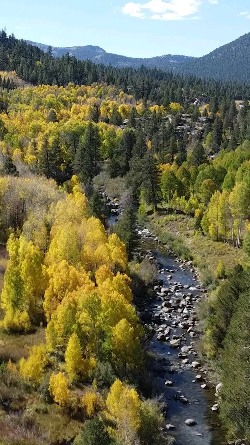Watch Tahoe River Cabin on Instagram