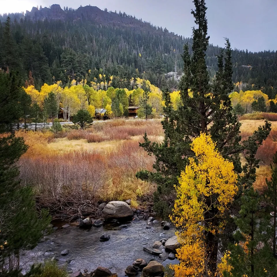 If you had to pick your favorite season, which one would it be. 1, 2 or 3?

#laketahoe #laketahoecabin #tahoesouth #highway88 #laketahoevacationrentals #markleeville #hopevalleyca #wylderhotelhv #tahoesnaps #visittahoe #southlaketahoe #laketahoetrip 