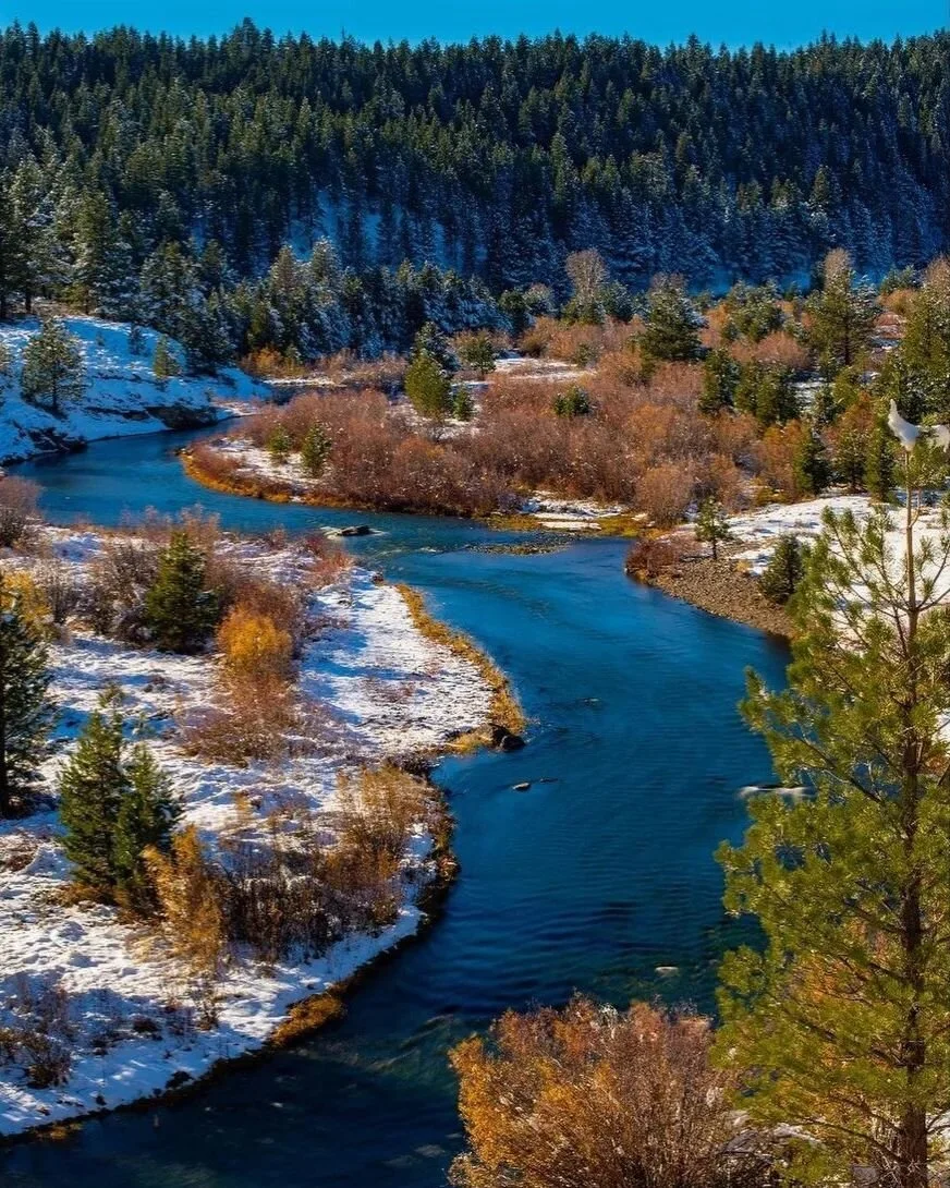 The next few days should bring in 3-4 feet of snow at our elevation. Book your stay now and enjoy your first winter adventures in Lake Tahoe! 

#laketahoe #laketahoecabin #tahoesouth #highway88 #laketahoevacationrentals #markleeville #hopevalleyca #w