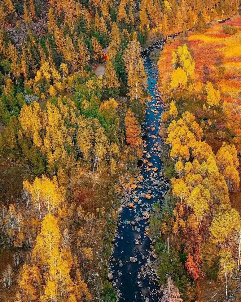 If you'd like to enjoy the beautiful autumn colors here in Hope Valley, book your stay now. 

#laketahoe #laketahoecabin #tahoesouth #highway88 #laketahoevacationrentals #markleeville #hopevalleyca #wylderhotelhv #tahoesnaps #visittahoe #southlaketah