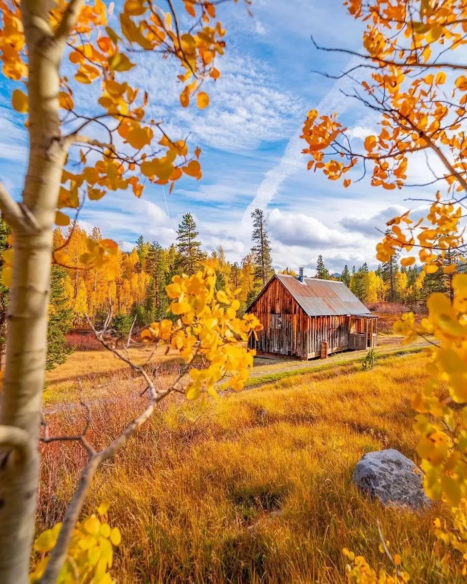 In Hope Valley (where our river cabin is located) the fall colors are starting to come in! Until late October, early November. Book your stay now and enjoy this magical season and location. 

#laketahoe #laketahoecabin #tahoesouth #highway88 #laketah