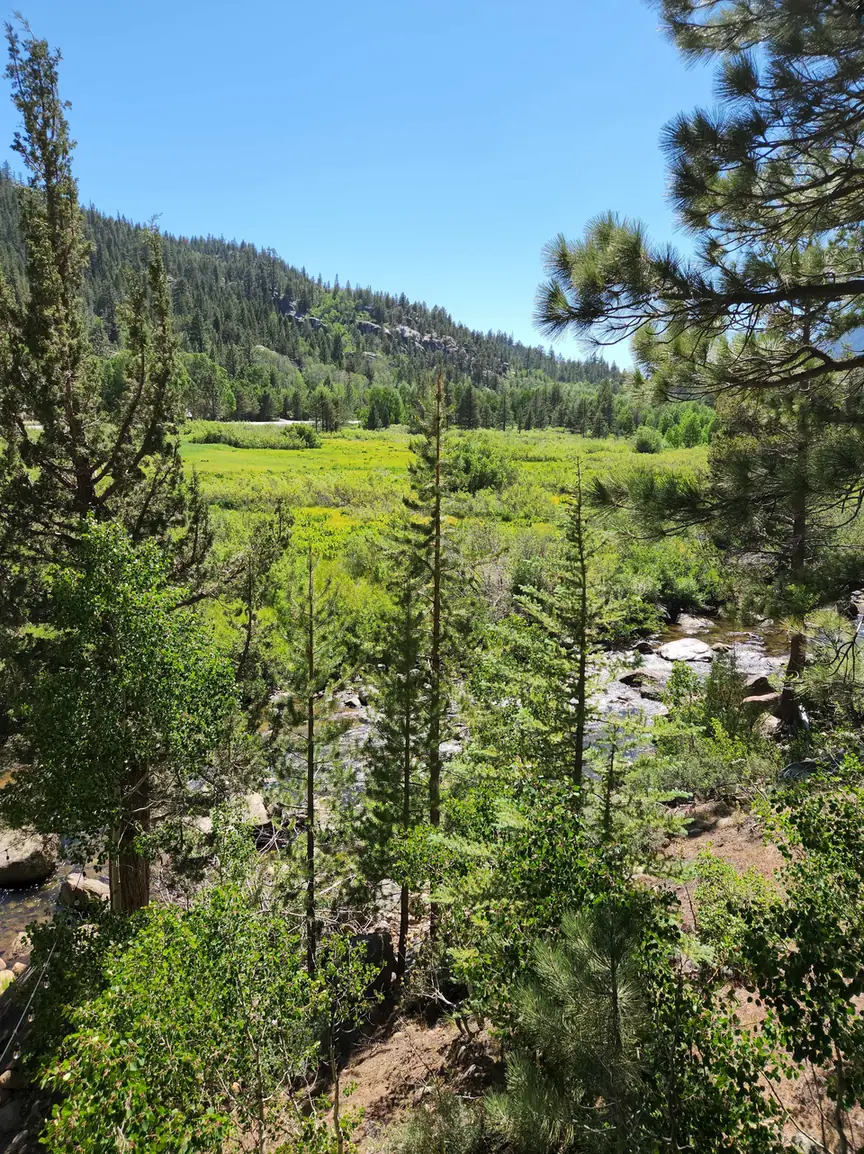 View of the green Hope Valley meadow, pine trees and surrounding mountains from the cabin property.
